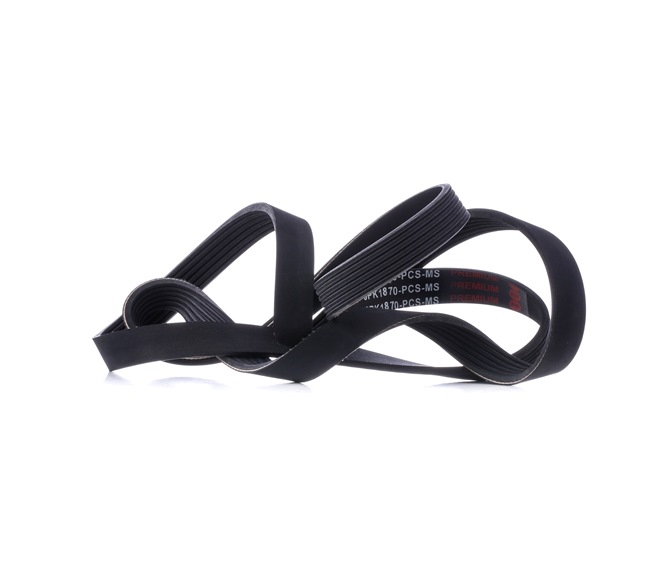 MASTER-SPORT 6PK1870-PCS-MS multiriem 7 552 233