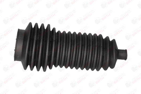 BIRTH 7278 Soufflet de direction Renault Scenic 1 1.6 102 CV Essence 2002