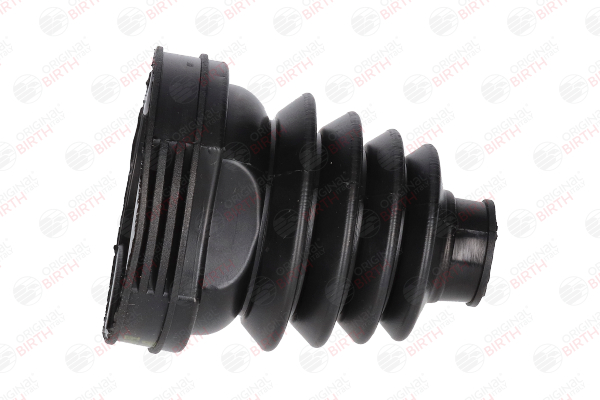 BIRTH 7582 Cv boot Renault Scenic 2 2.0 dCi 150 hp Diesel 2005