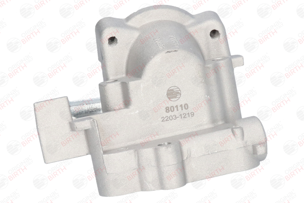 BIRTH 80110 Aušinimo skysčio jungė Renault Megane Scenic 1.6 e 90 AG benzinas 1999