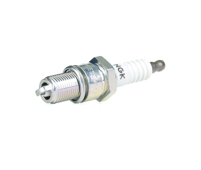 NGK 4691 ARO Zündkerzen Iridium und Platin Kosten