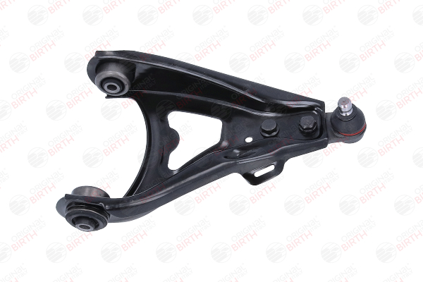 BIRTH BR1787 Braccetti Renault Scenic 1 1.9 dCi RX4 102 CV Diesel 2002