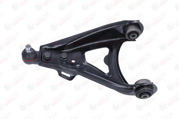 BIRTH BR1788 Braccetti Renault Scenic 1 1.9 dCi RX4 102 CV Diesel 2003