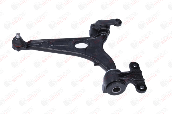 BIRTH BR1858 Braccetti Fiat Ulysse 179 2.0 D Multijet 120 CV Diesel 2008