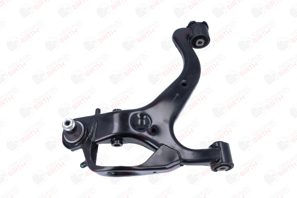 BR2074 BIRTH RBJ500193 Querlenker