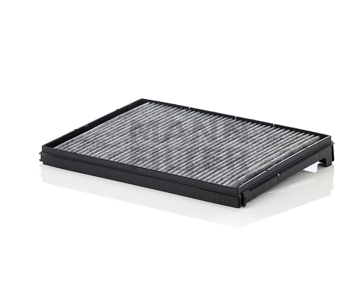 CUK 33 001 MANN-FILTER replacement DAF pollen filter price