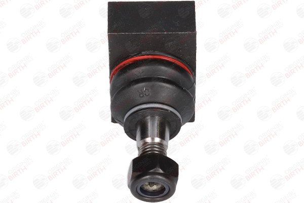 BIRTH CX9203 Šarnyras Smart Fortwo 450 Coupe 0.7 (450.333) 75 AG benzinas 2006