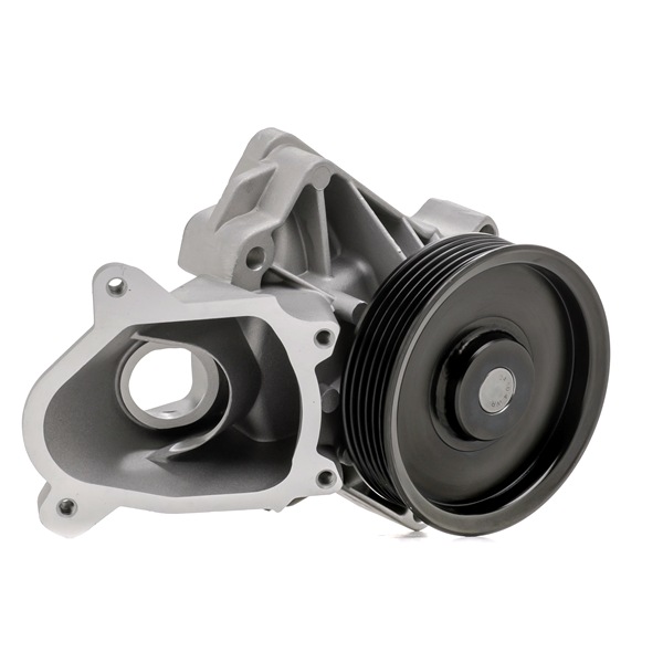 DAYCO 11 51 7 791 834 Bomba de agua DP326