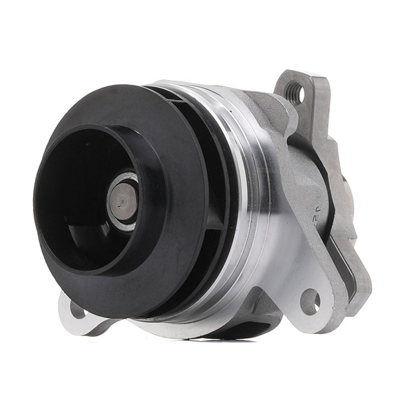 DAYCO DP433 Pompa acqua Renault Megane 4 originale prezzo
