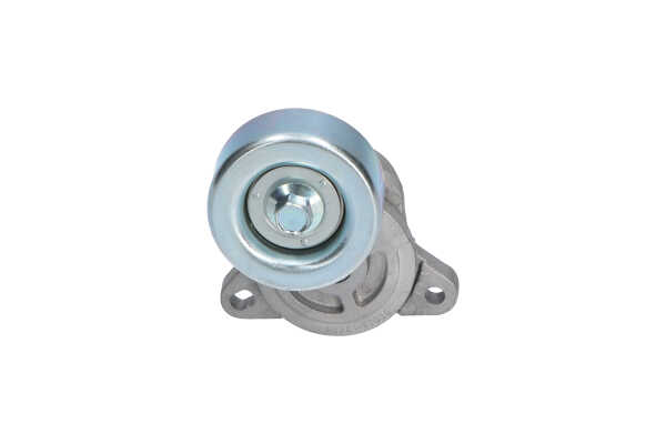 Spanrol, poly V-riem van KAVO PARTS DTP-3002 aan aanvaardbare prijs