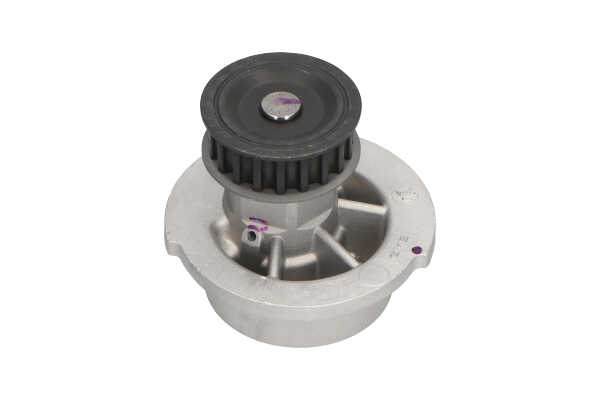 KAVO PARTS DW-1002 Pompe à eau Opel Astra G 1.6 (F08, F48) 75 CV Essence 1999