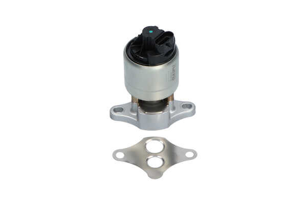KAVO PARTS EEG-1003 Válvula EGR Astra G T98 1.6 16V (F08, F48) 101 cv Gasolina 2005