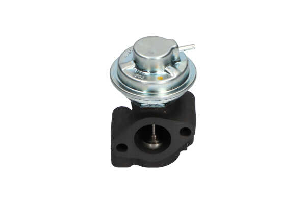 KAVO PARTS EEG-3005 EGR klep Bongo 3 2.4 TDCi 94 Pk Diesel 2023