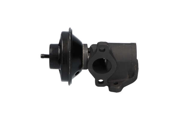 KAVO PARTS EEG-7503 Egr vožtuvas / įsiurbimo kolektorius Ssangyong Rexton W 2.7 Xdi visų ratų pavara 186 AG dyzelinas 2013