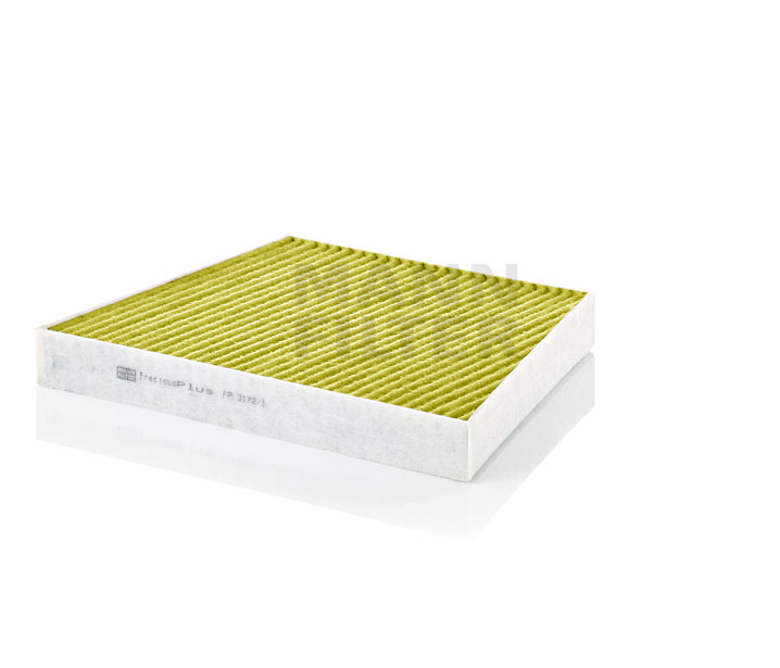 Φίλτρα καμπίνας MANN-FILTER MERCEDES-BENZ E-class FP 3172/1