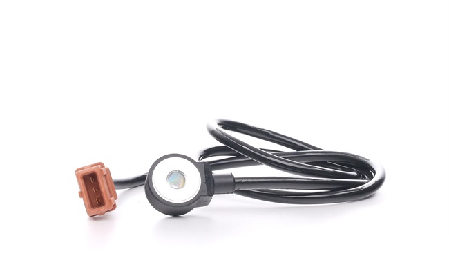0 261 231 040 BOSCH 077905377A Klopfsensor