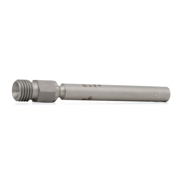 BOSCH 0 437 502 004 Einspritzdüse Porsche 991 Coupe