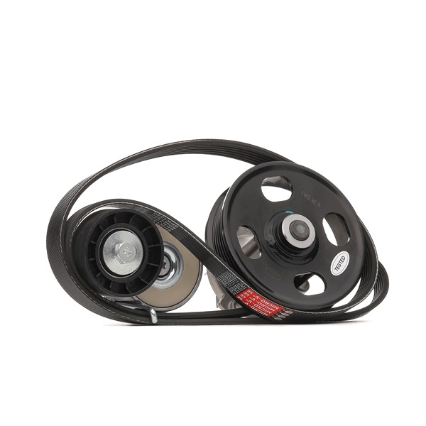 Ιμάντας poly-V GATES FIAT 500 KP26PK1320