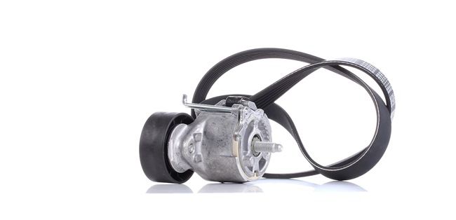 DAYCO KPV110 Keilrippenriemensatz Lancia Musa 350 1.3 D Multijet (350.AXG11, 350.AXG1A) 90 PS Diesel 2011