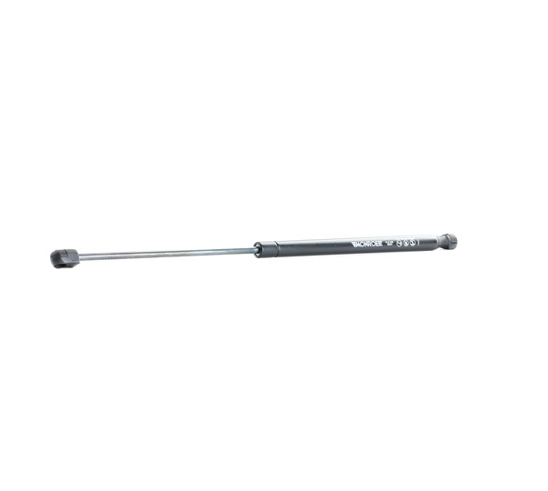 FORD FOCUS Heckklappendämpfer MONROE ML5169
