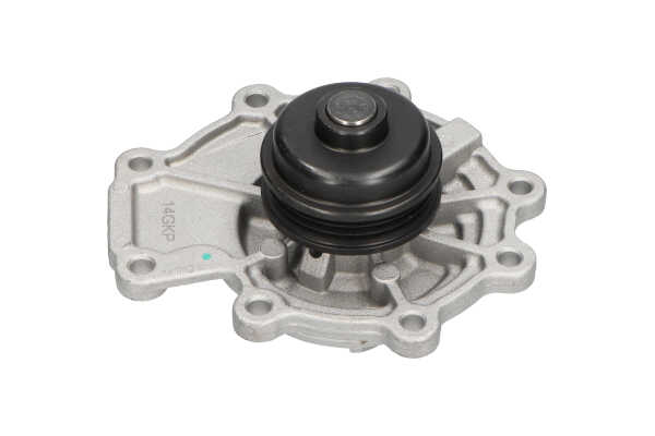 KAVO PARTS MW-1536 Vandens siurblys Mazda 2 MPV 3.0 i V6 (LWFW) 200 AG benzinas 2004