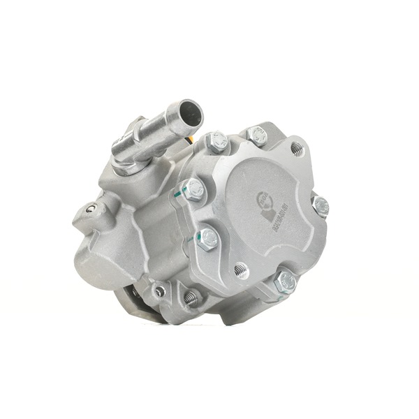 BGA PSP0100 Servopumpe VW GOLF 2024