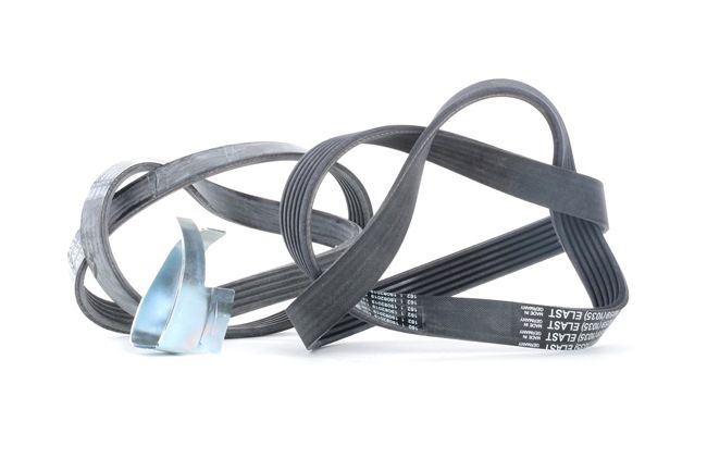 Rippenriemen CONTITECH FORD FOCUS 6PK1059 ELAST T2