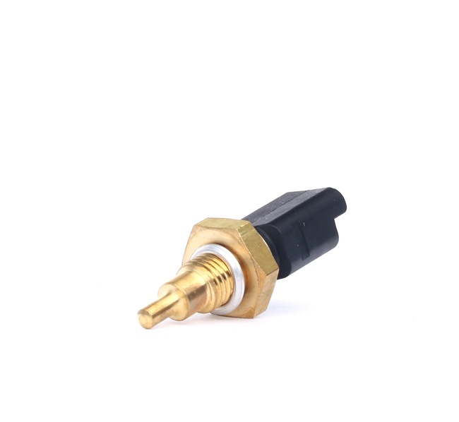 DELPHI TS10401 Sonde de température Fiat Punto 188