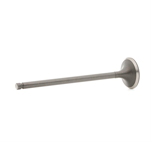 Uitlaatklep V165411 BGA Uitlaatklep kosten