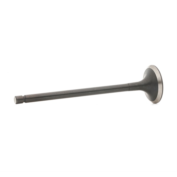 Uitlaatklep V166041 BGA Uitlaatklep kosten
