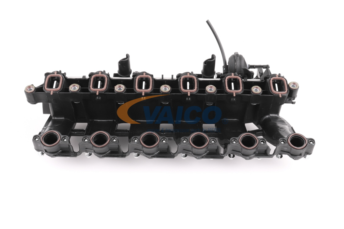 VAICO V20-3002 Calidad y precios justos