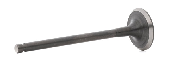 BGA V998727 uitlaatklep 132022F210