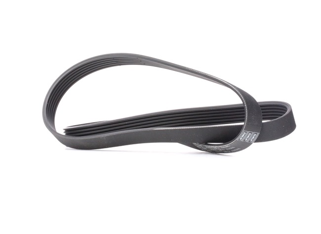 SKF VKMV 6PK1244 Cinghia servizi PEUGEOT 308 SW I Van / Station Wagon (4E_) originale prezzo
