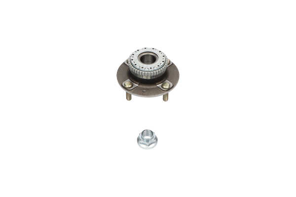 WBH-3049 KAVO PARTS 527102D111 Radlagersatz
