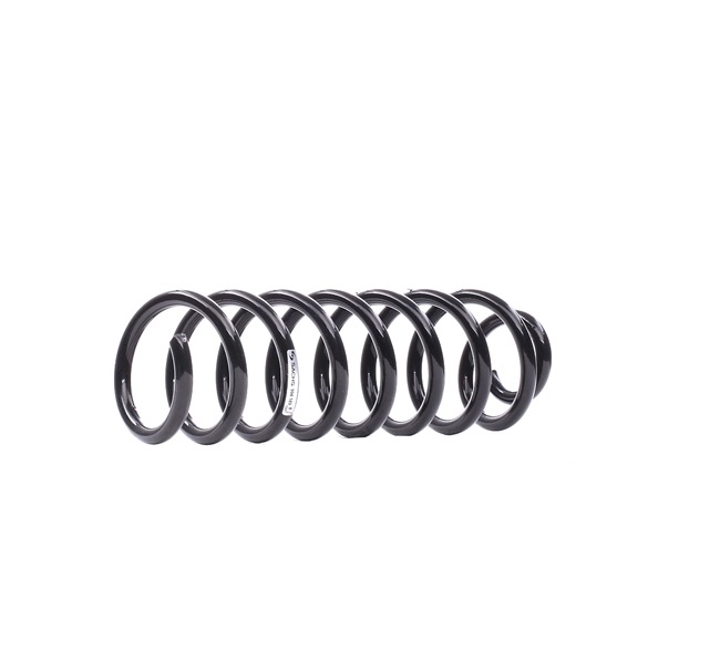 Spyruoklė 994 189 SACHS Spyruoklė kaina