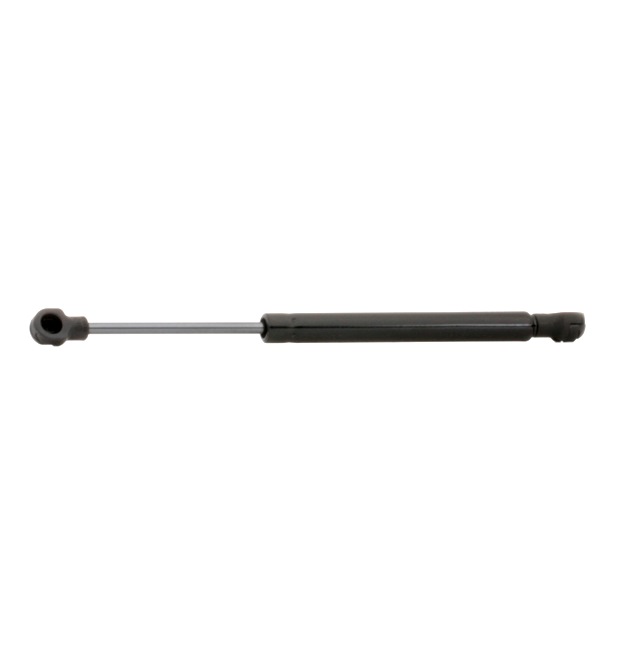 RIDEX 219G0740 gasveer achterklep 84430-CE400