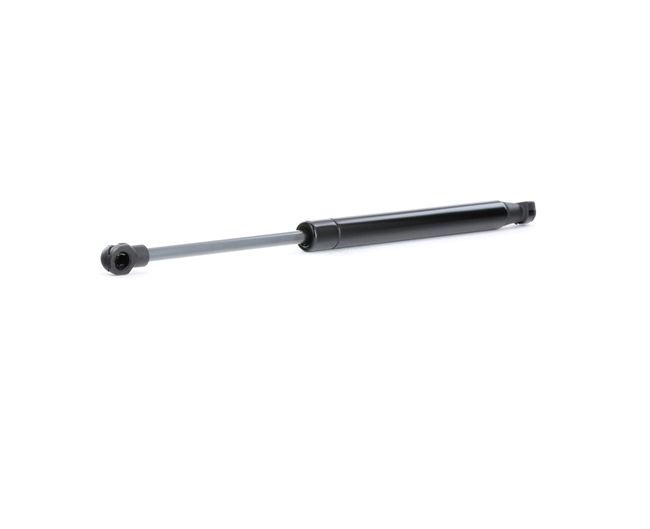 RIDEX 219G0744 gasveer achterklep 1012831543