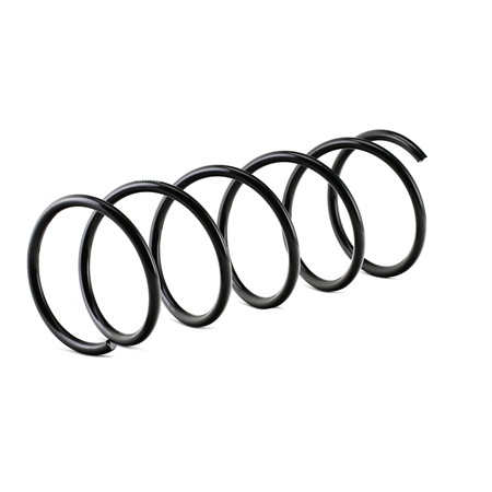 RIDEX BC1E28011 Jousi (auton jousitus) 188C0415