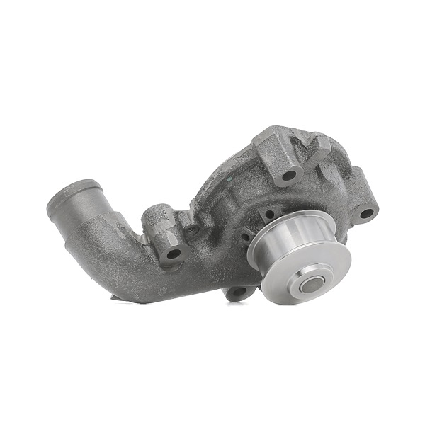 1260W0290 RIDEX 1054544 Wasserpumpe