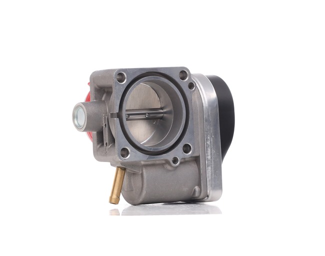 RIDEX 158T0121 Gasspjeld MINI pris