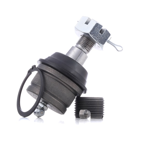 RIDEX 2462S0252 fuseekogel 8983500202