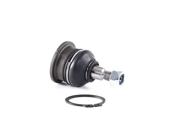 RIDEX 2462S0272 Šarnyras HONDA Elysion I (RR1-RR6) 3.5 i-VTEC 4WD (RR6) 279 AG benzinas 2010