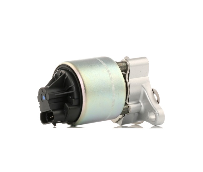 RIDEX 1145E0162 Zawór EGR CHEVROLET Rezzo U100