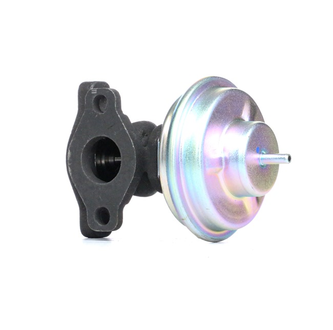 RIDEX 1145E0163 KIA Pregio Van (TB) Egr venttiili