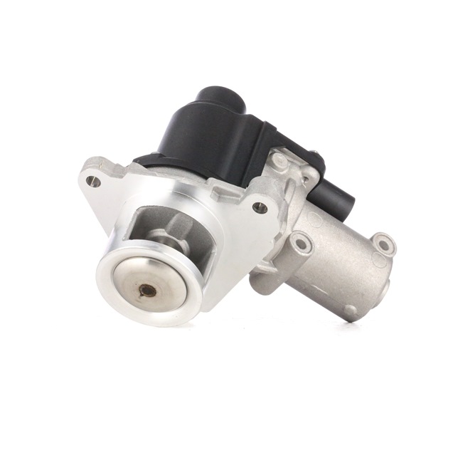 RIDEX 1145E0170 EGR ventil HYUNDAI