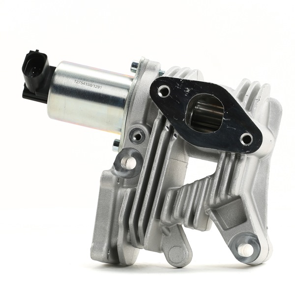 STARK SKEGR-0770178 egr klep 8200542999