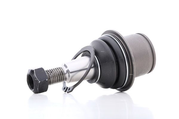 RIDEX 2462S0279 fuseekogel RBK500180