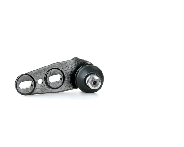 RIDEX 2462S0282 fuseekogel 893 407 365 F