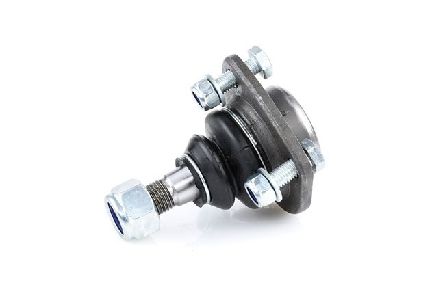 RIDEX 2462S0284 Rótula de suspensão LADA ao melhor preços