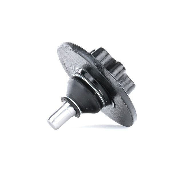 RIDEX 2462S0295 A-kwaliteit en eerlijke prijzen